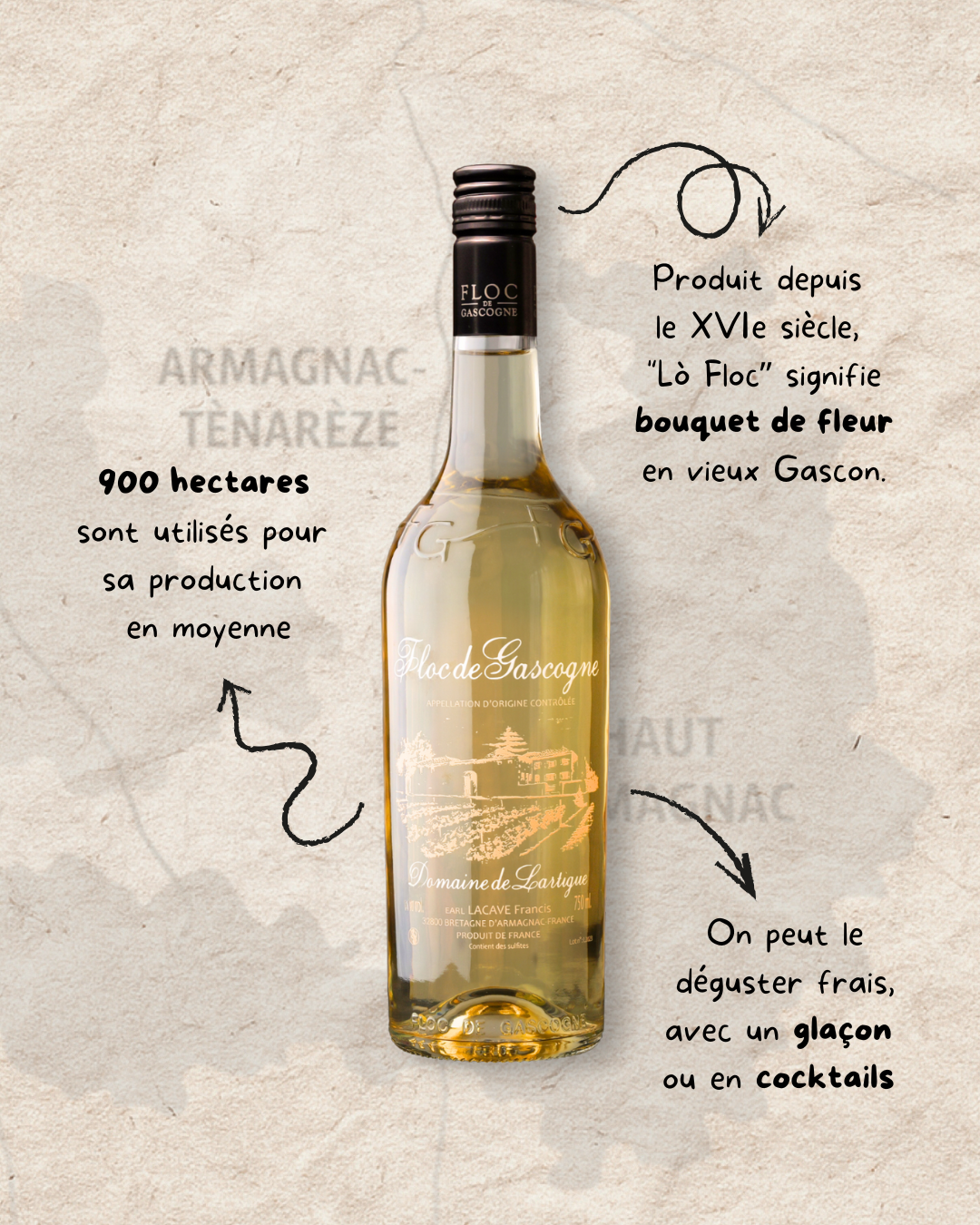 Floc de Gascogne